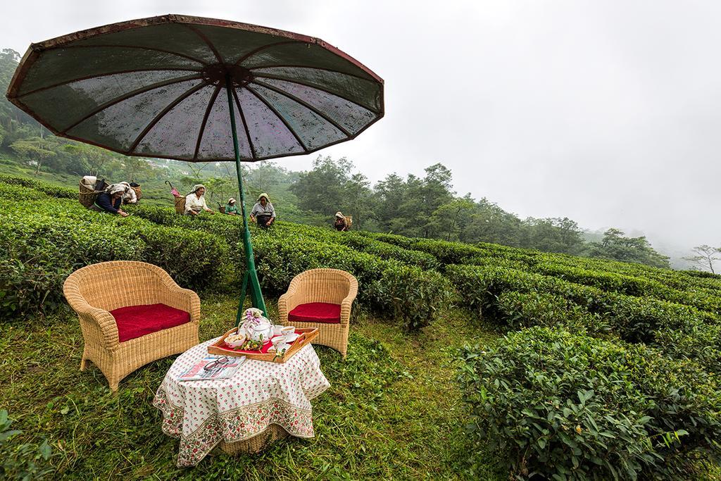大吉岭 Ging Tea House旅馆 外观 照片