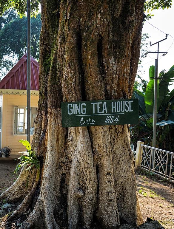 大吉岭 Ging Tea House旅馆 外观 照片