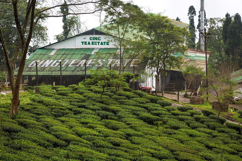 大吉岭 Ging Tea House旅馆 外观 照片